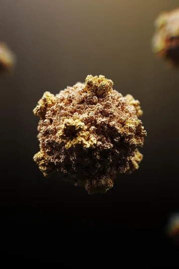 Link to the Virus Structures portfolio page