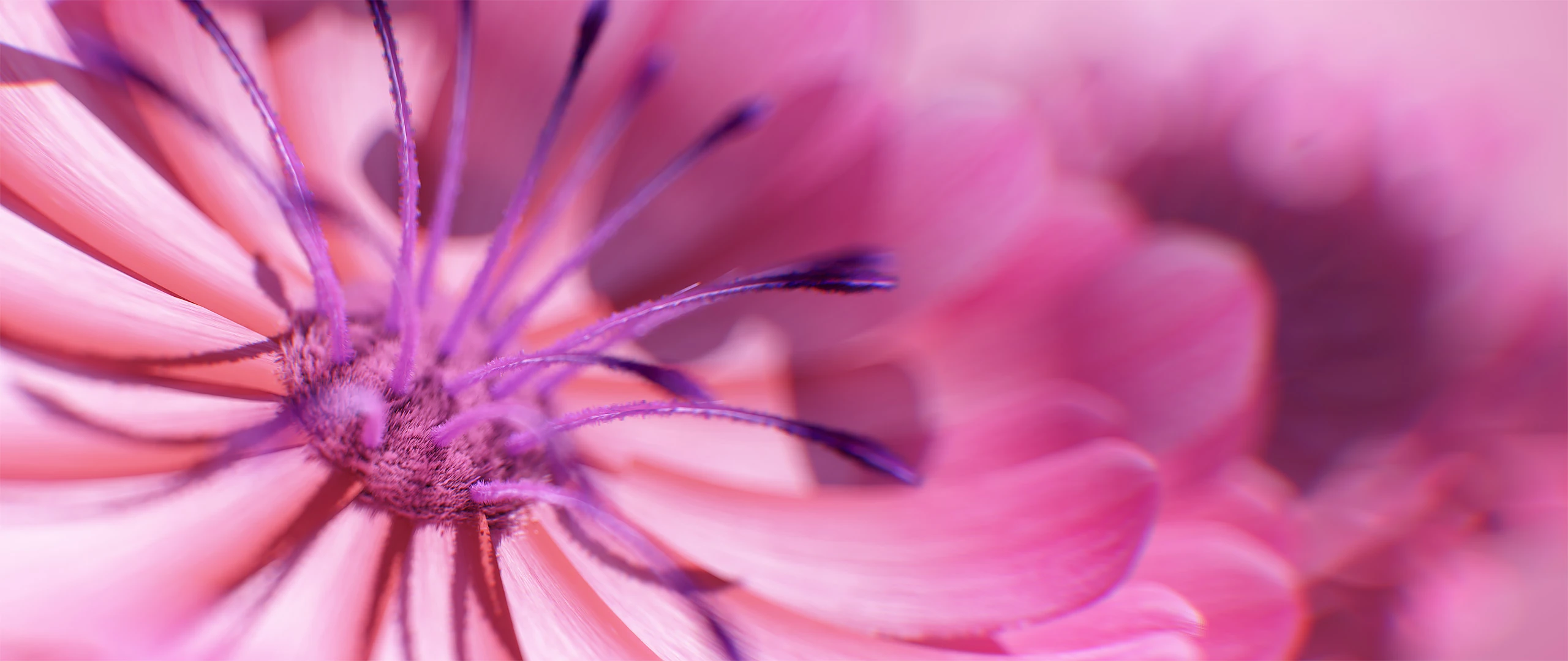 3D render of Flowers