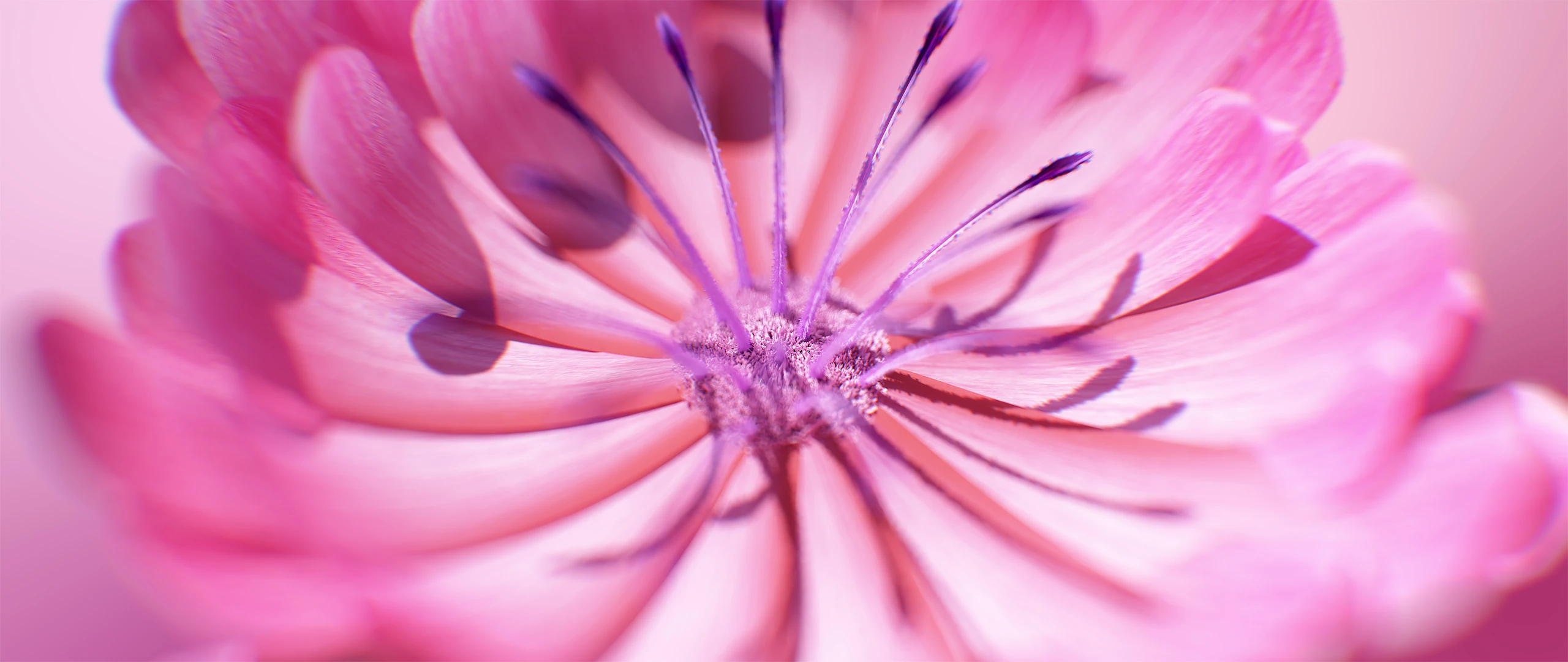 3D render of Flowers