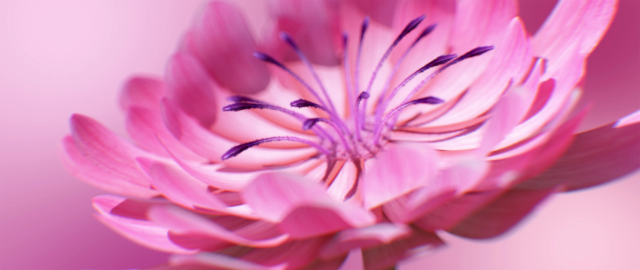 3D render of Flowers