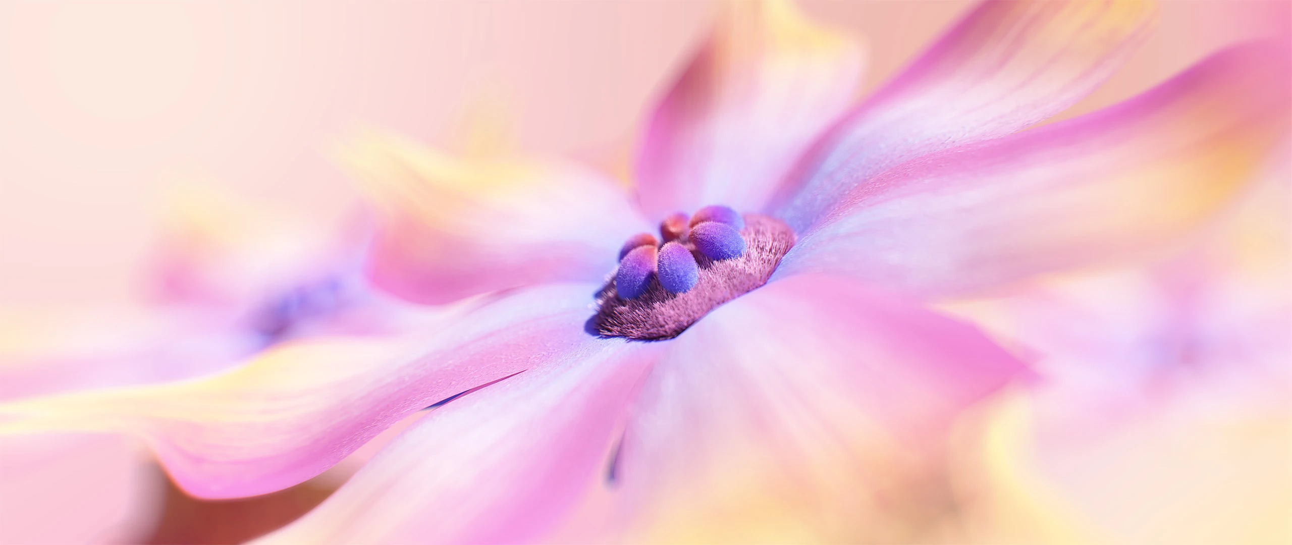 3D render of Flowers