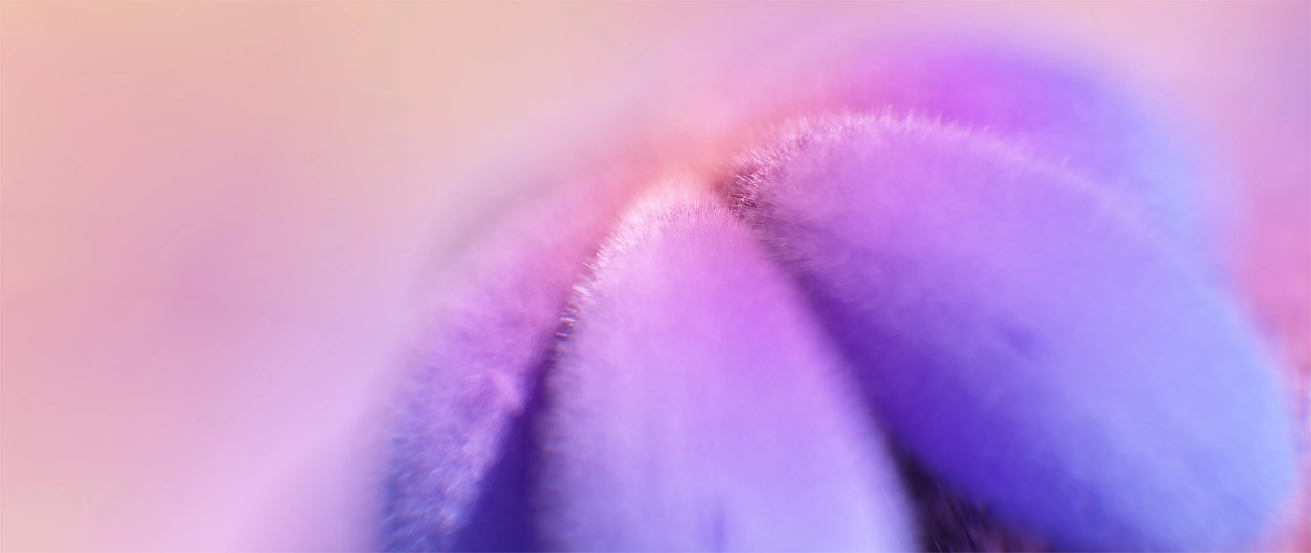 3D render of Flowers