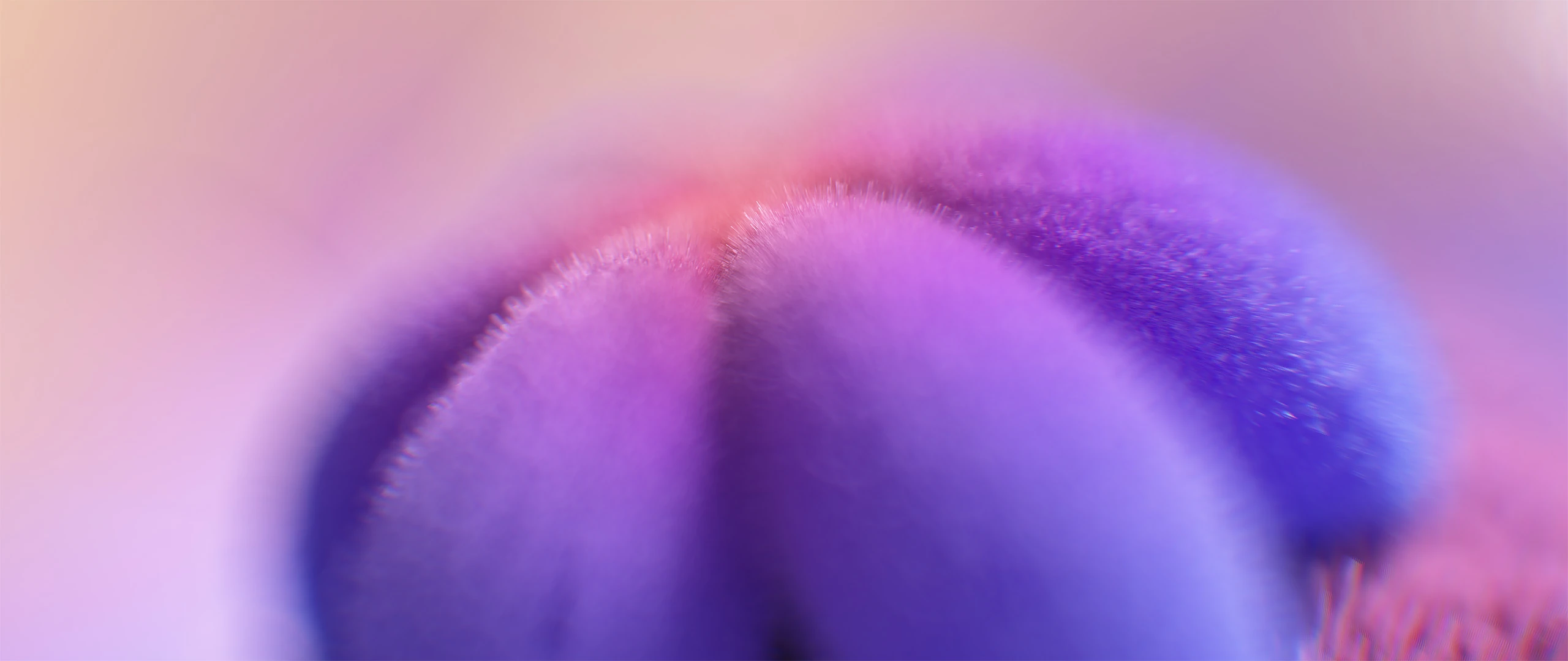 3D render of Flowers