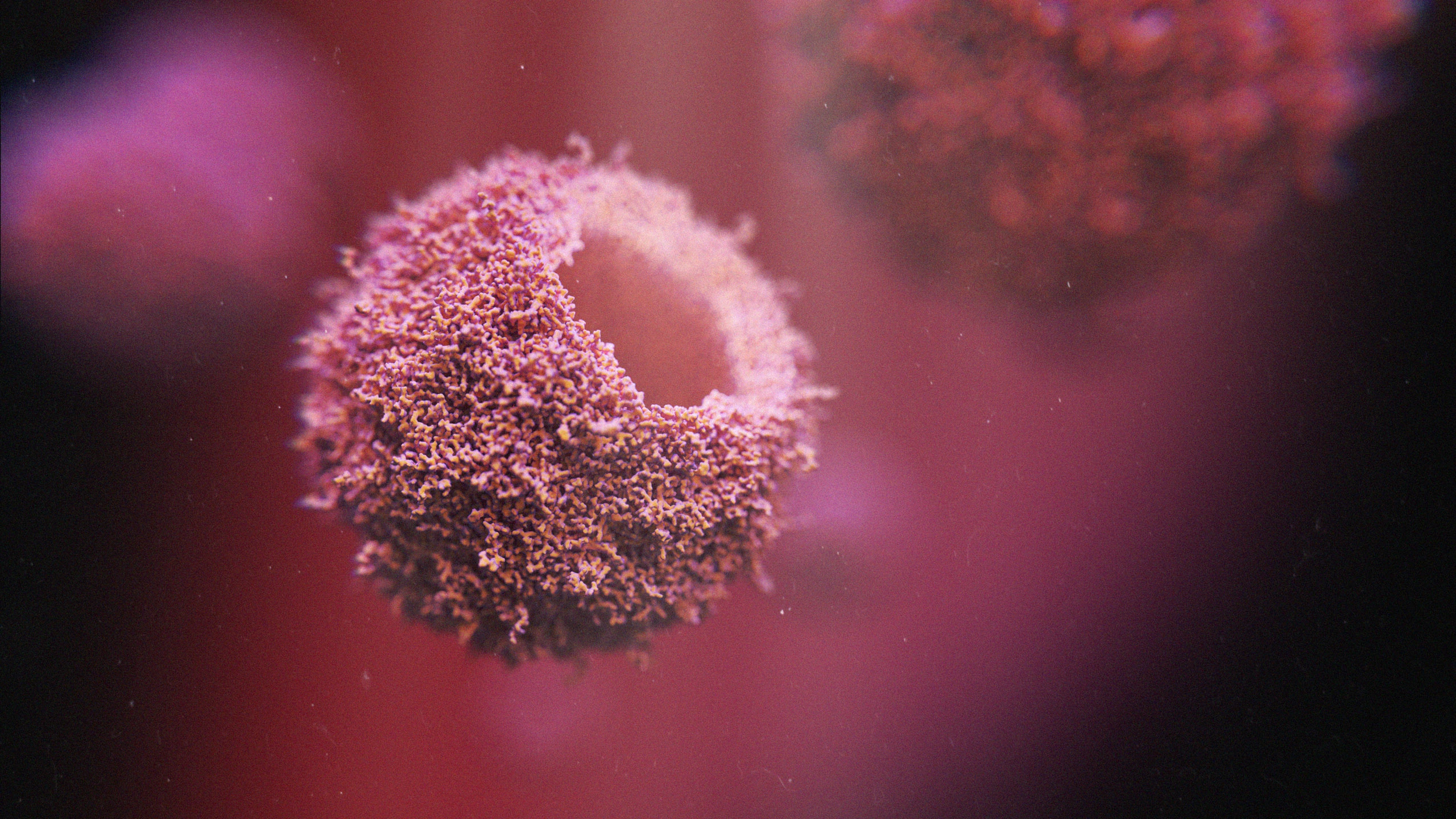 3D render of Theiler Murine Encephalomyelitis Virus structure