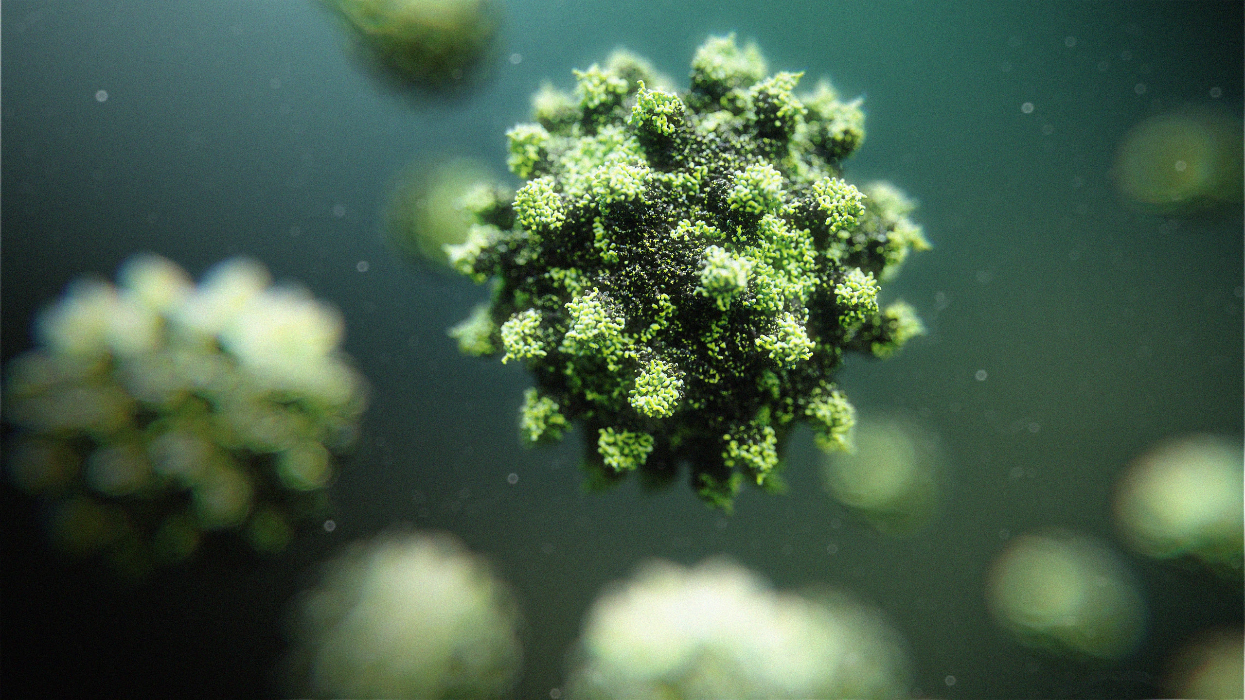 3D render of Anthrax Toxin Receptor structure