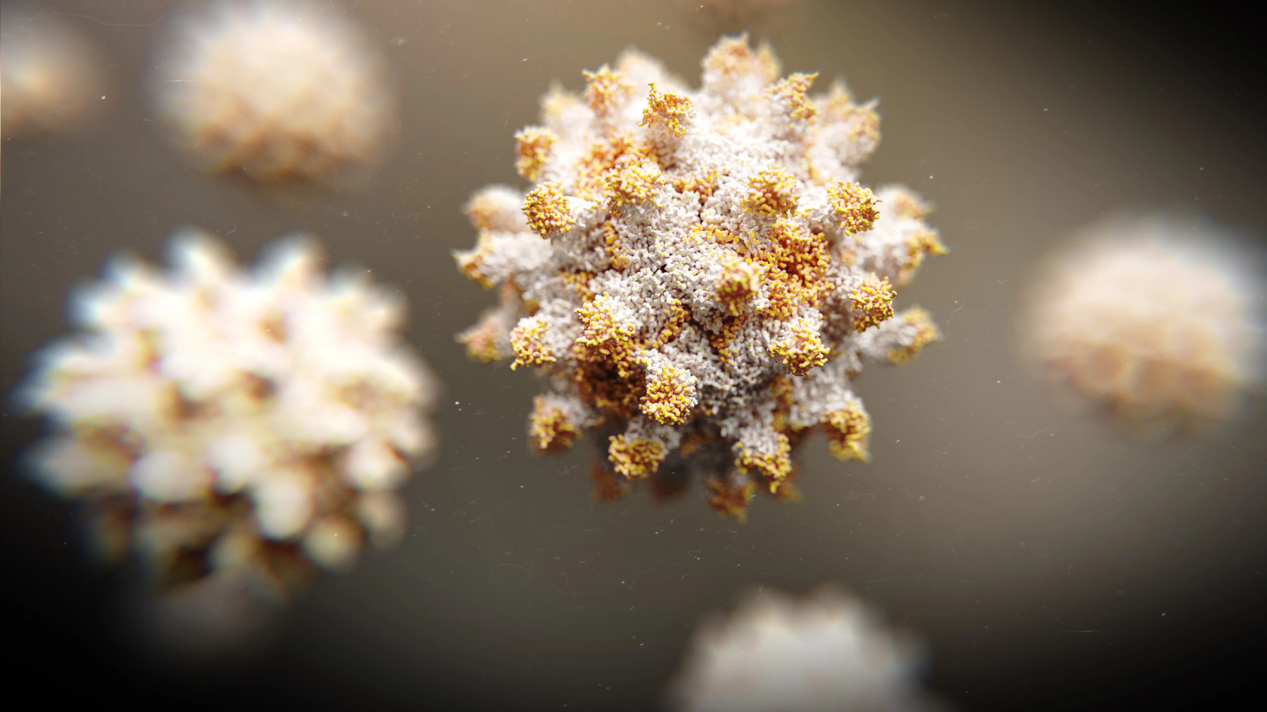 3D render of Anthrax Toxin Receptor structure